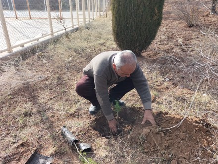 Her Çalışan Bir Fidan